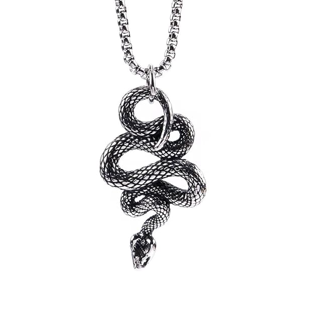 SILVER GUARDIAN SNAKE - Pure Titanium Steel Pendant with 24inch Round Box Chain for Men & Boys - Image 3